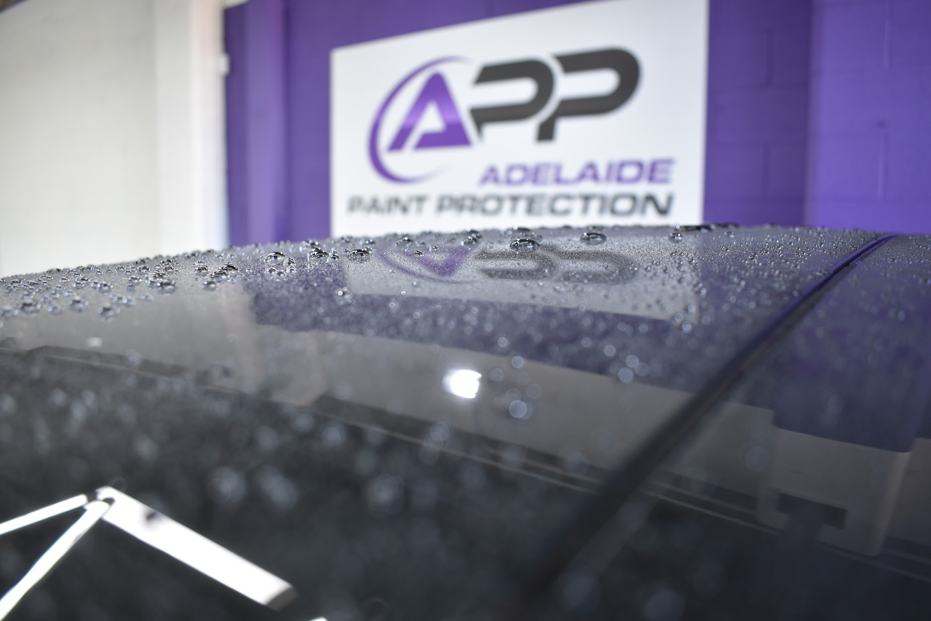 Water-Beading-Adelaide-Paint-Protection