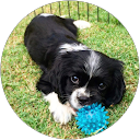 Hannah profile picture