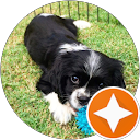 Hannah profile picture